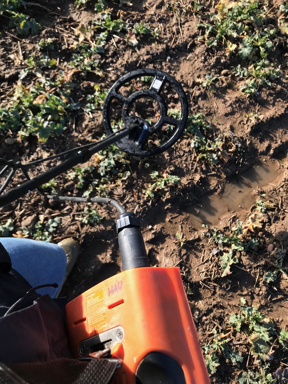 Tagged slugs tracked with RFID scanner in the field